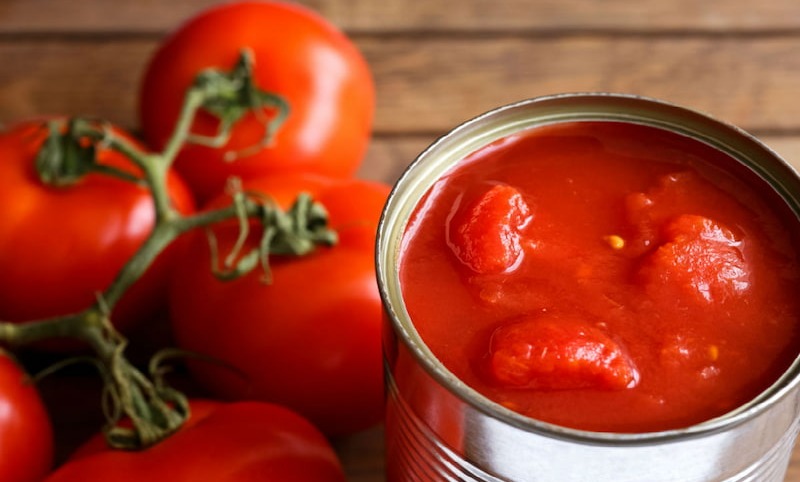 Paya tomato paste price 800 GR in bulk without additives