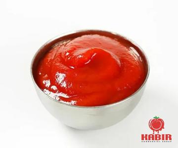 Buy all kinds of salted tomato paste at the best price