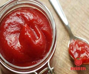 Introducing homemade italian tomato paste + the best purchase price