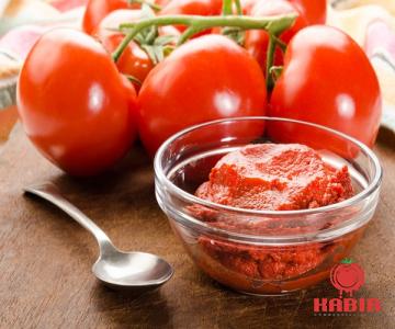 al mudhish tomato paste type price reference + cheap purchase