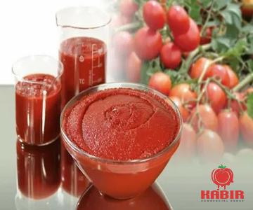 best tomato paste type price reference + cheap purchase