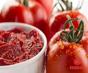 frying tomato paste purchase price + sales in trade and export