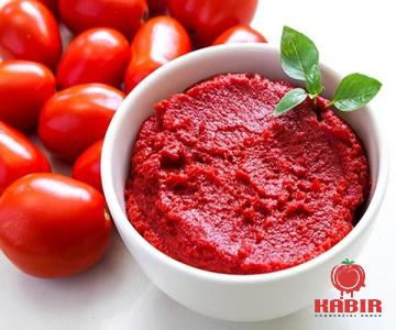 Introducing quick make tomato paste + the best purchase price