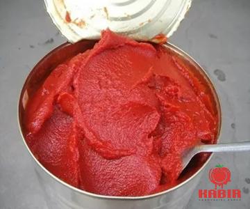 Purchase and today price of fried salty tomato paste