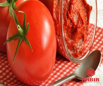 The price and purchase types of italissima organic tomato paste