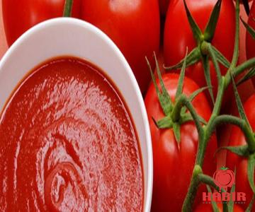 Buy salted tomato paste + introduce the production and distribution factory