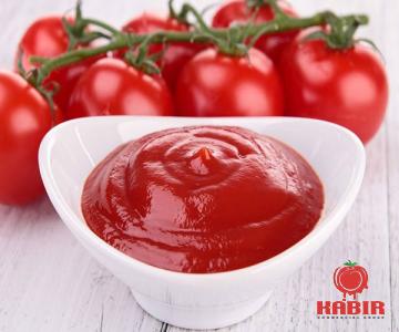 tomato paste in birria buying guide + great price