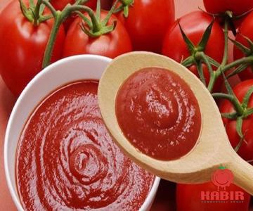 ramen tomato paste purchase price + sales in trade and export